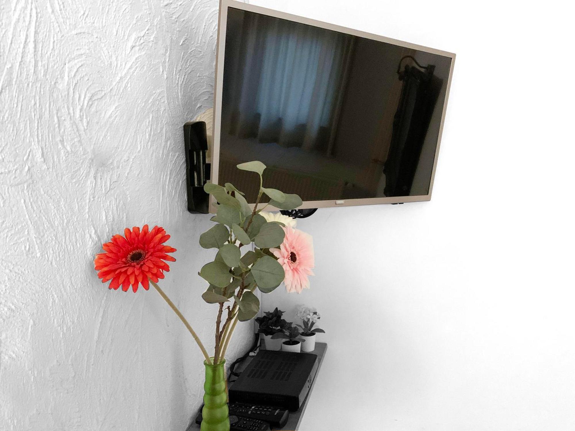 B&B En Vakantiewoningen 'T Wienhoes Wittem Екстер'єр фото