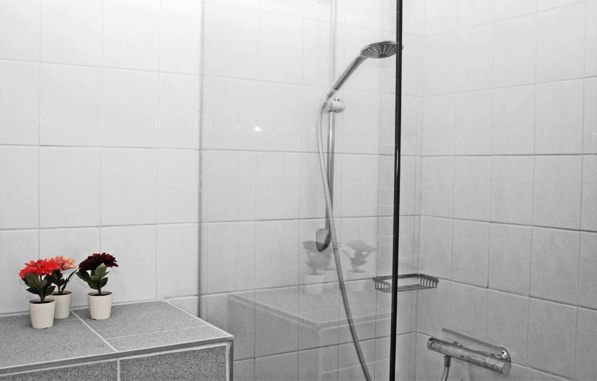 B&B En Vakantiewoningen 'T Wienhoes Wittem Екстер'єр фото